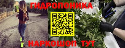 синтетический гашиш Новозыбков