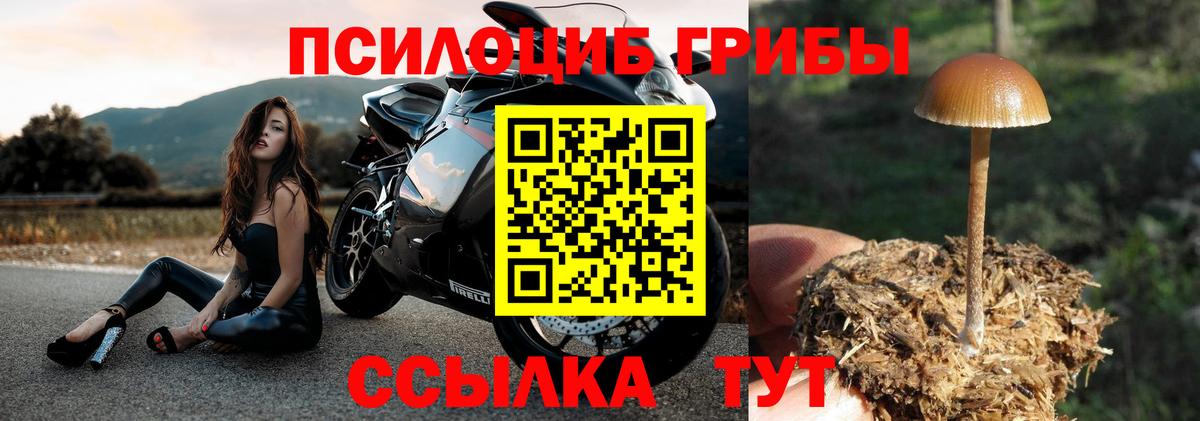 Галлюциногенные грибы прущие грибы  Галлюциногенные грибы Psilocybe  Пушкино  Вход с VPN 