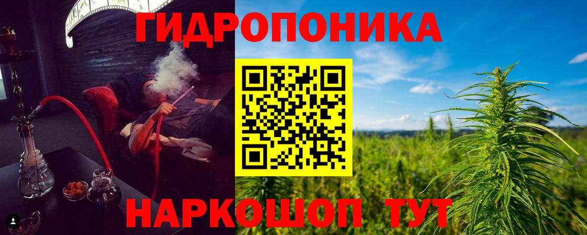МАРИХУАНА гибрид  МАРИХУАНА Bruce Banner  Канабис OG Kush  Вход с VPN  Пушкино 